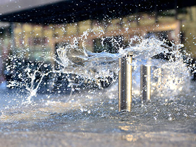 熊口管理区企业风采