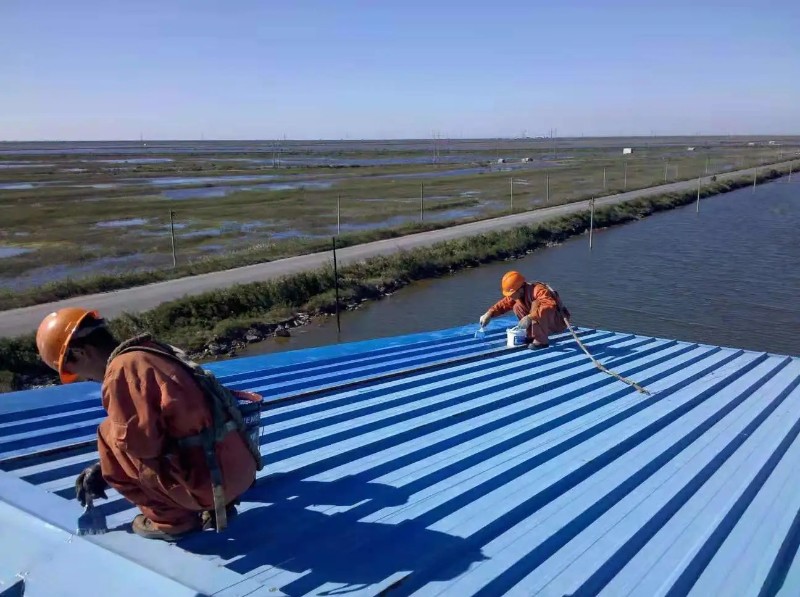 熊口管理区彩钢瓦屋面防腐翻新